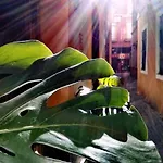 Pension Virgen De La Luz